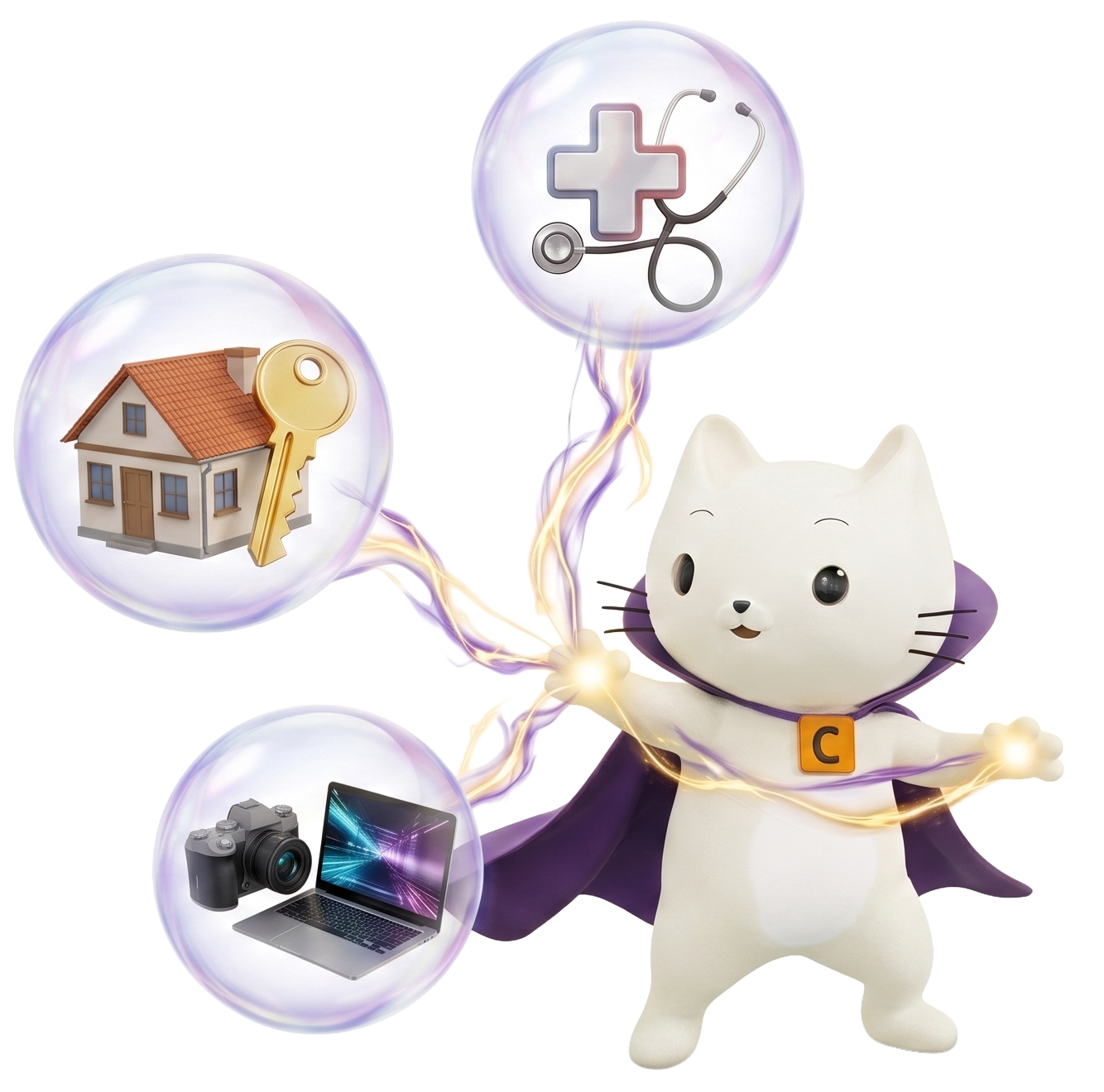 Fixed Loan Cat