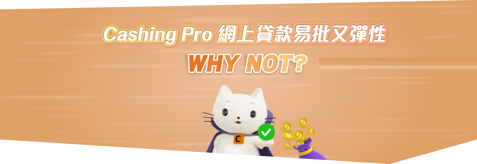 Cashing Pro 快速借錢周轉 Why Not